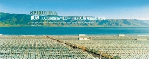市场监管总局正式认可！螺旋藻增强免疫力再添权威认证！